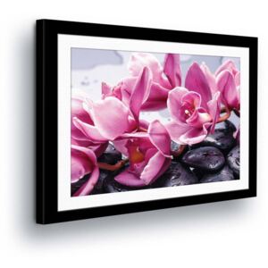 Vászonkép GLIX - Pink Flowers in Passepartout III 80x60 cm