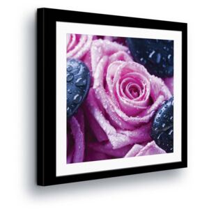 Vászonkép GLIX - Flower Purple Roses in Passepartout 80x80 cm