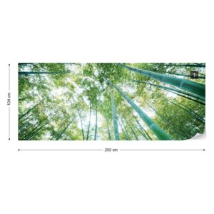 Fotótapéta GLIX - Erdő Fák Nem szőtt tapéta - 250x104 cm