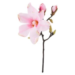 FLORISTA magnolia, rózsaszín 33 cm