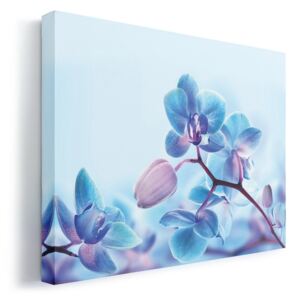Kék orchidea vászonkép