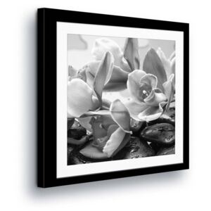 Vászonkép GLIX - Black and white Flowers in Paspart II 80x80 cm