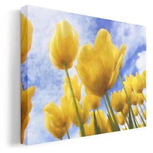 Sárga tulipánok, effekttel vászonkép