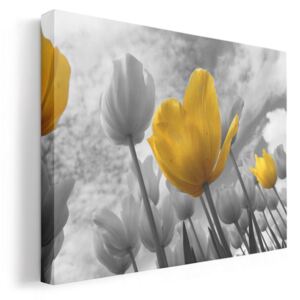 Sárga tulipánok vászonkép