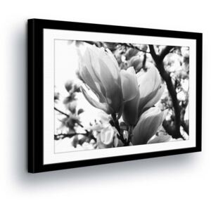 Vászonkép GLIX - Black & White Flowers in the Passepartout 50x70 cm