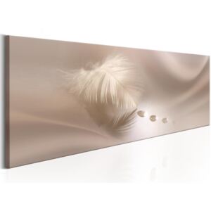 Vászonkép Bimago - Delicate Feather 150x50 cm