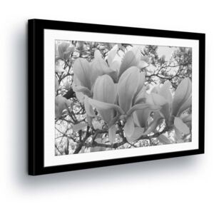 Vászonkép GLIX - White Flowers in Gray Tone in the Passepartout 50x70 cm