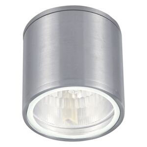 Ideal Lux Ideal Lux - Fürdőszobai mennyezeti lámpa 1xGU10/28W/230V ID092324
