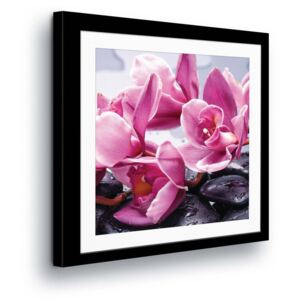 Vászonkép GLIX - Pink Flowers in Passepartout III 80x80 cm