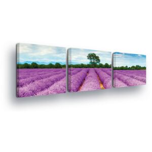 Vászonkép GLIX - Lavender Fields 3 x 25x25 cm