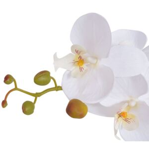 Műorchidea virágcseréppel 30 cm fehér