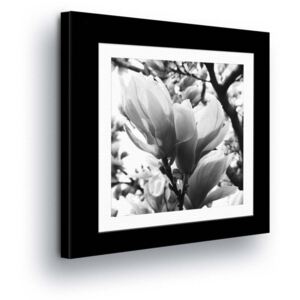 Vászonkép GLIX - Black & White Flowers in the Passepartout 40x40 cm