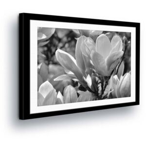 Vászonkép GLIX - Glittering Flowers in the Passepartout 50x70 cm