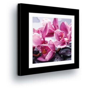 Vászonkép GLIX - Pink Flowers in Passepartout III 40x40 cm
