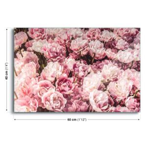 Üvegkép GLIX - Sea Of Flowers 60x40 cm