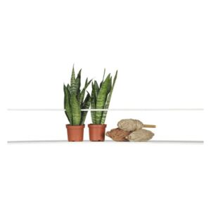 Meert fehér polc, 100 cm hosszú - WOOOD