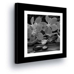 Vászonkép GLIX - Black & White Flowers in Passepartout III 40x40 cm