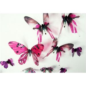 Butterflies rózsaszín 3D hatású 18 db-os falmatrica szett - Ambiance