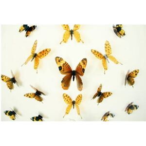 Butterflies sárga 3D hatású 18 db-os falmatrica szett - Ambiance