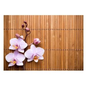 Orchid szőnyeg, 52 x 75 cm - Zerbelli