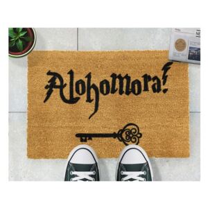 Alohomora lábtörlő, 40 x 60 cm - Artsy Doormats