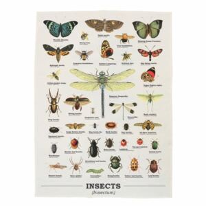 Insects pamut törlőkendő - Gift Republic
