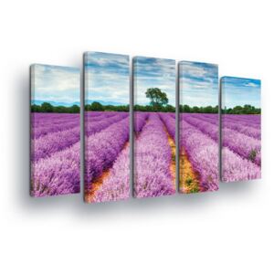 Vászonkép GLIX - Lavender Fields 2 x 30x80 / 3 x 30x100 cm