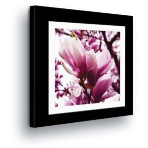 Vászonkép GLIX - Pink Flowers in Paspart II 40x40 cm