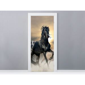 Öntapadó ajtómatrica Gyönyörű fekete ló 95x205cm