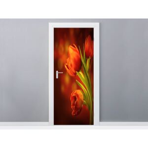 Öntapadó ajtómatrica Titokzatos piros tulipánok 95x205cm