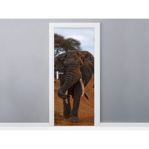 Öntapadó ajtómatrica Siema elefánt - Feans 95x205cm