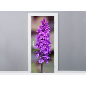 Öntapadó ajtómatrica Orchidea 95x205cm