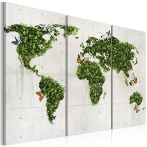 Vászonkép Bimago - Zöld föld a pillangók 60x40 cm