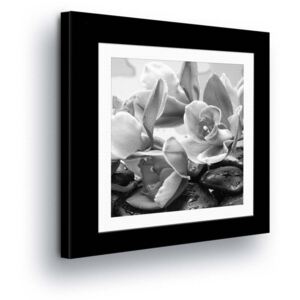 Vászonkép GLIX - Black and white Flowers in Paspart II 40x40 cm