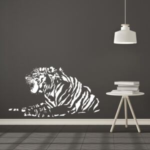 Falmatrica GLIX - Tiger 50 x 90 cm Fehér