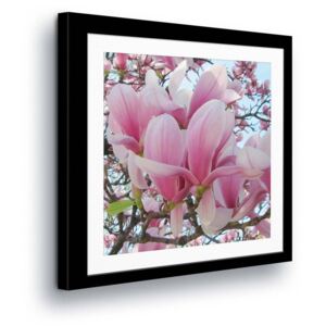 Vászonkép GLIX - Light Pink Flowers in the Passepartout 80x80 cm