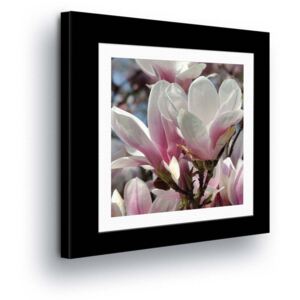 Vászonkép GLIX - Bright Flowers in the Passepartout 40x40 cm