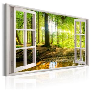 Vászonkép Bimago - Window: View on Forest 90x60 cm