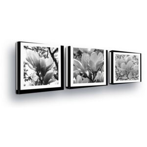 Vászonkép GLIX - Black and White Roses in Paspart II 3 x 25x25 cm
