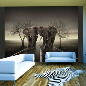 Fotótapéta Bimago - City of elephants 200x154 cm