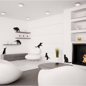 Falmatrica GLIX - Naughty cats set 6 ks 30 x 30 cm Fekete