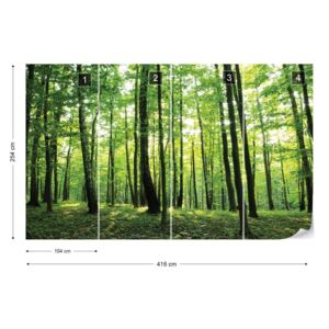 Fotótapéta GLIX - Erdő Fák Zöld Természet Nem szőtt tapéta - 416x254 cm