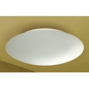 Twist PALNAS-1105001-01 - Fürdőszobai mennyezeti Lámpa - Méret: 100x250 mm