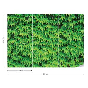 Fotótapéta GLIX - Zöld Levél Fal Nem szőtt tapéta - 312x219 cm