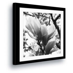 Vászonkép GLIX - Black & White Flowers in the Passepartout 80x80 cm