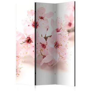 Paraván Bimago - Cherry Blossom 135x172cm