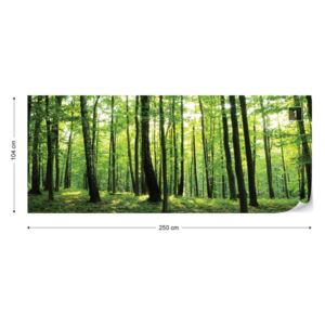 Fotótapéta GLIX - Erdő Fák Zöld Természet Nem szőtt tapéta - 250x104 cm