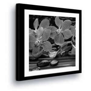 Vászonkép GLIX - Black & White Flowers in Passepartout III 80x80 cm