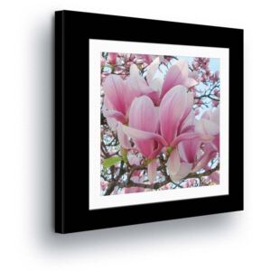 Vászonkép GLIX - Light Pink Flowers in the Passepartout 40x40 cm