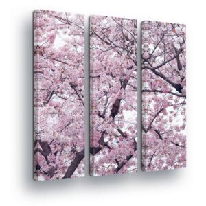 Vászonkép GLIX - Flowering Trees II 3 x 30x100 cm
